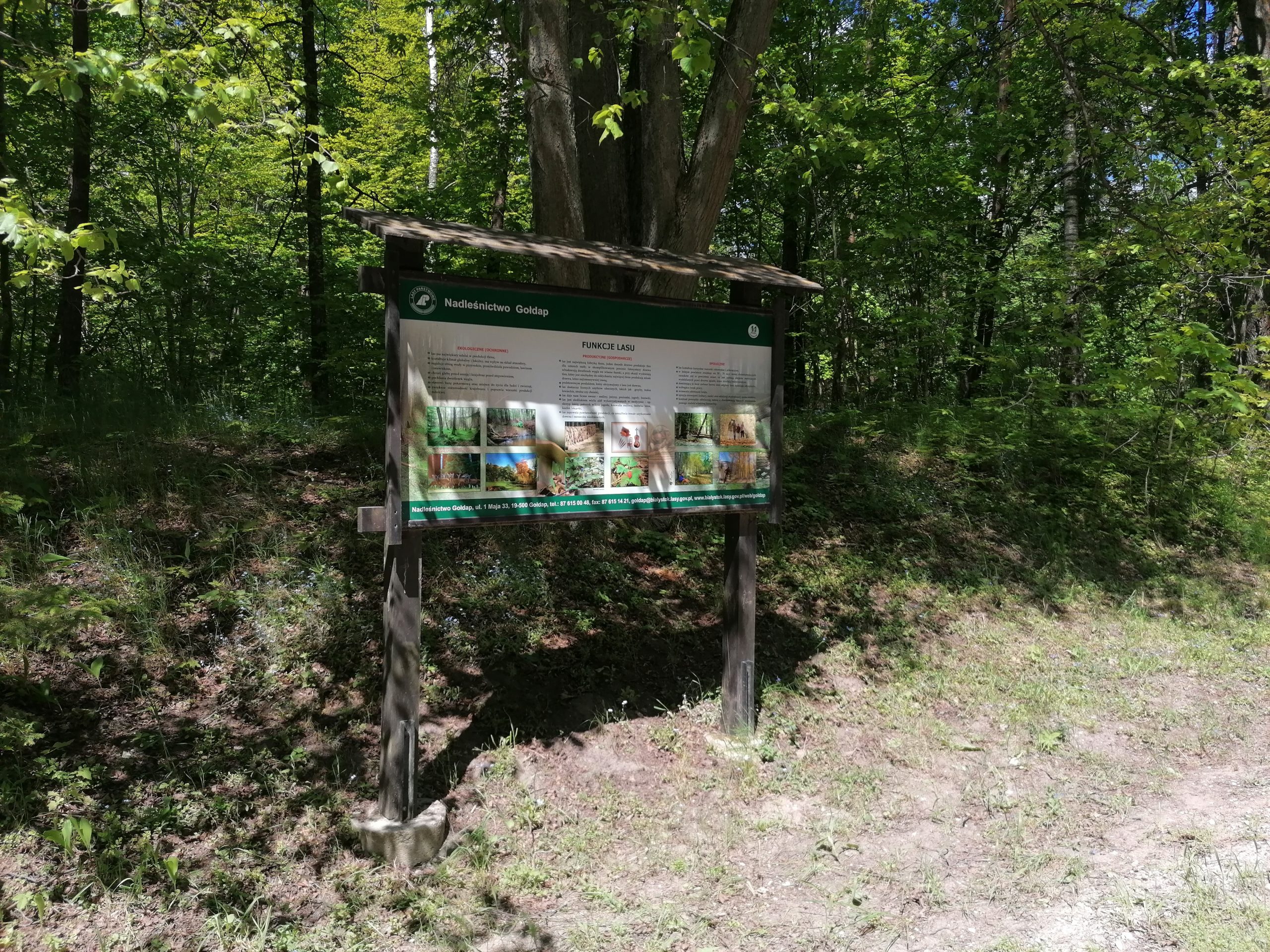 „Czworolist” – 1,4 km