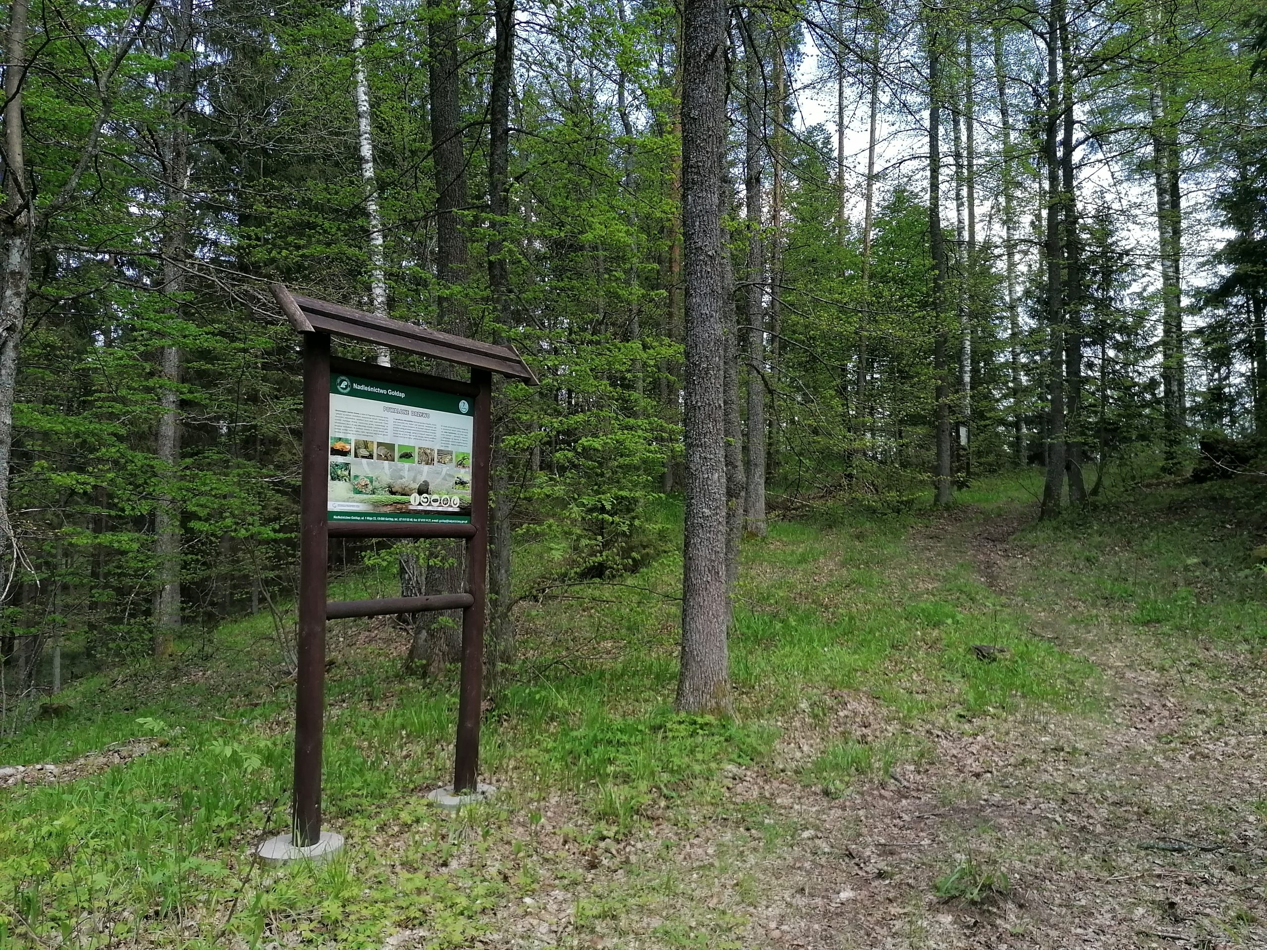 „Niezapominajka” – 700 m