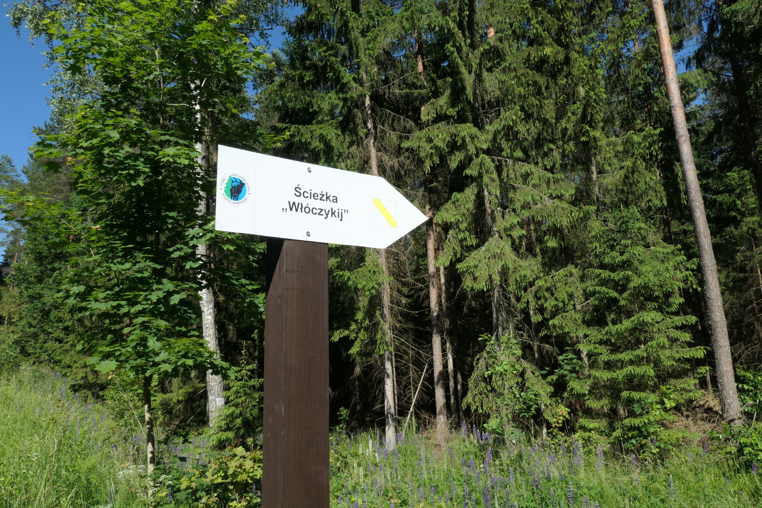 „Włóczykij” – 3,5 km