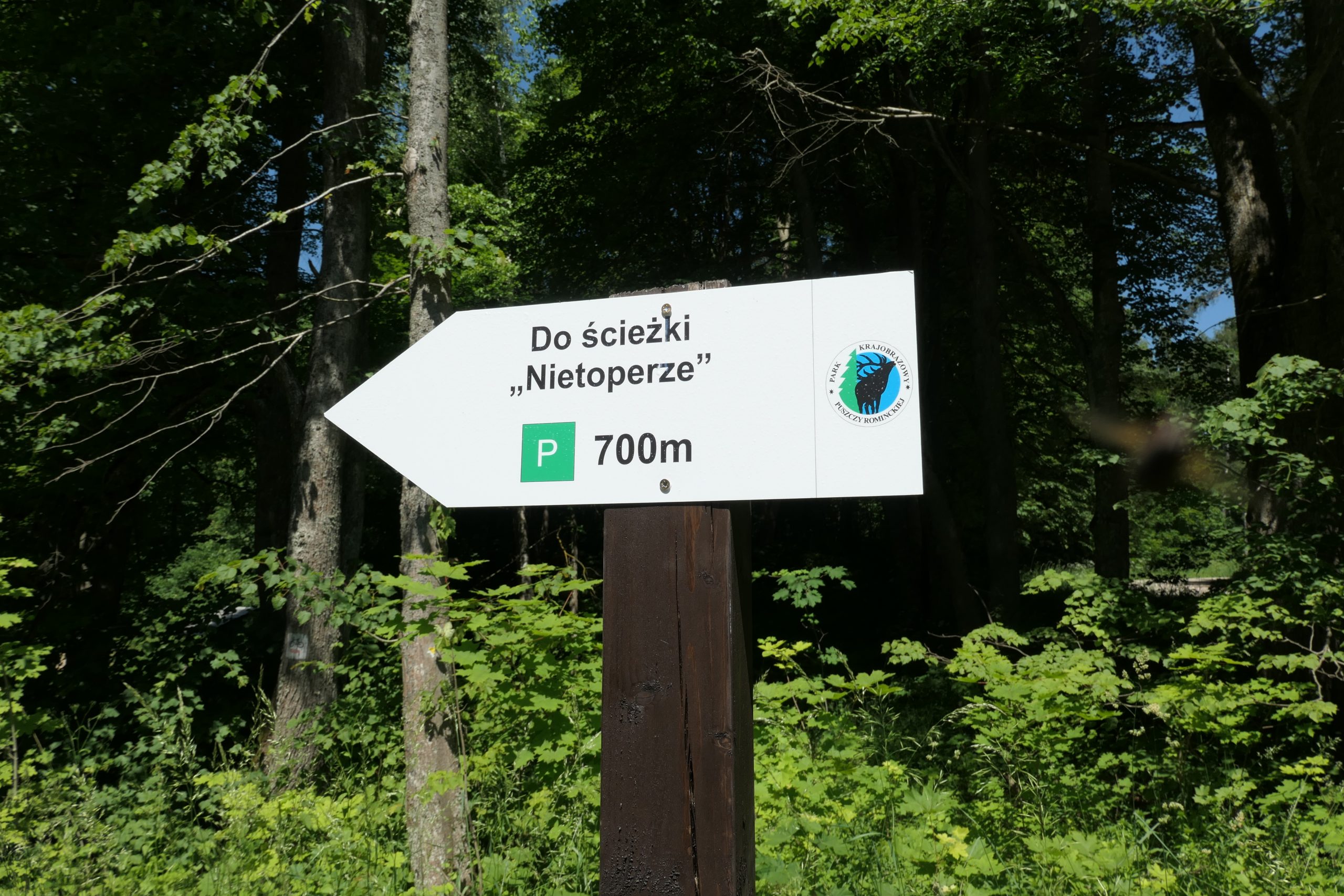 „Nietoperze” – 4 km