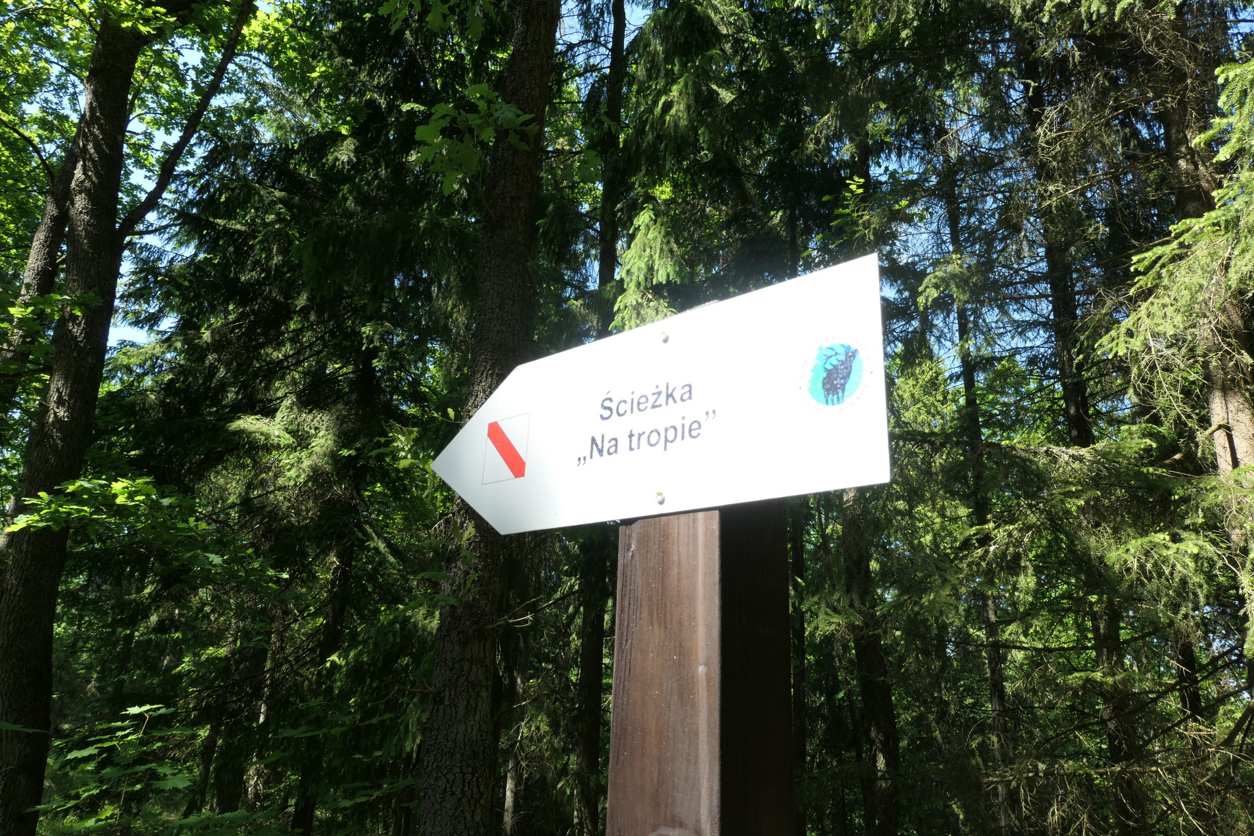 „Na tropie” – 2,3 km