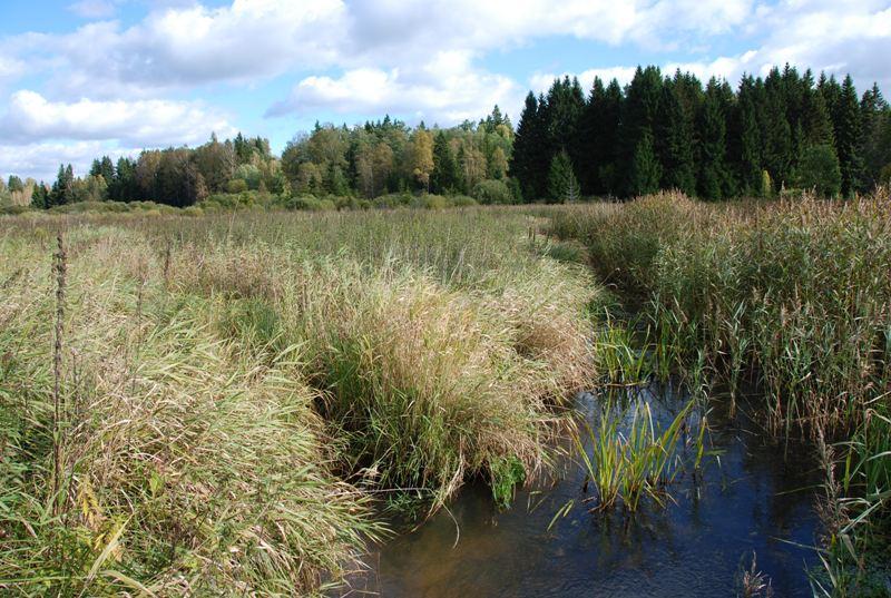 Struga Żytkiejmska