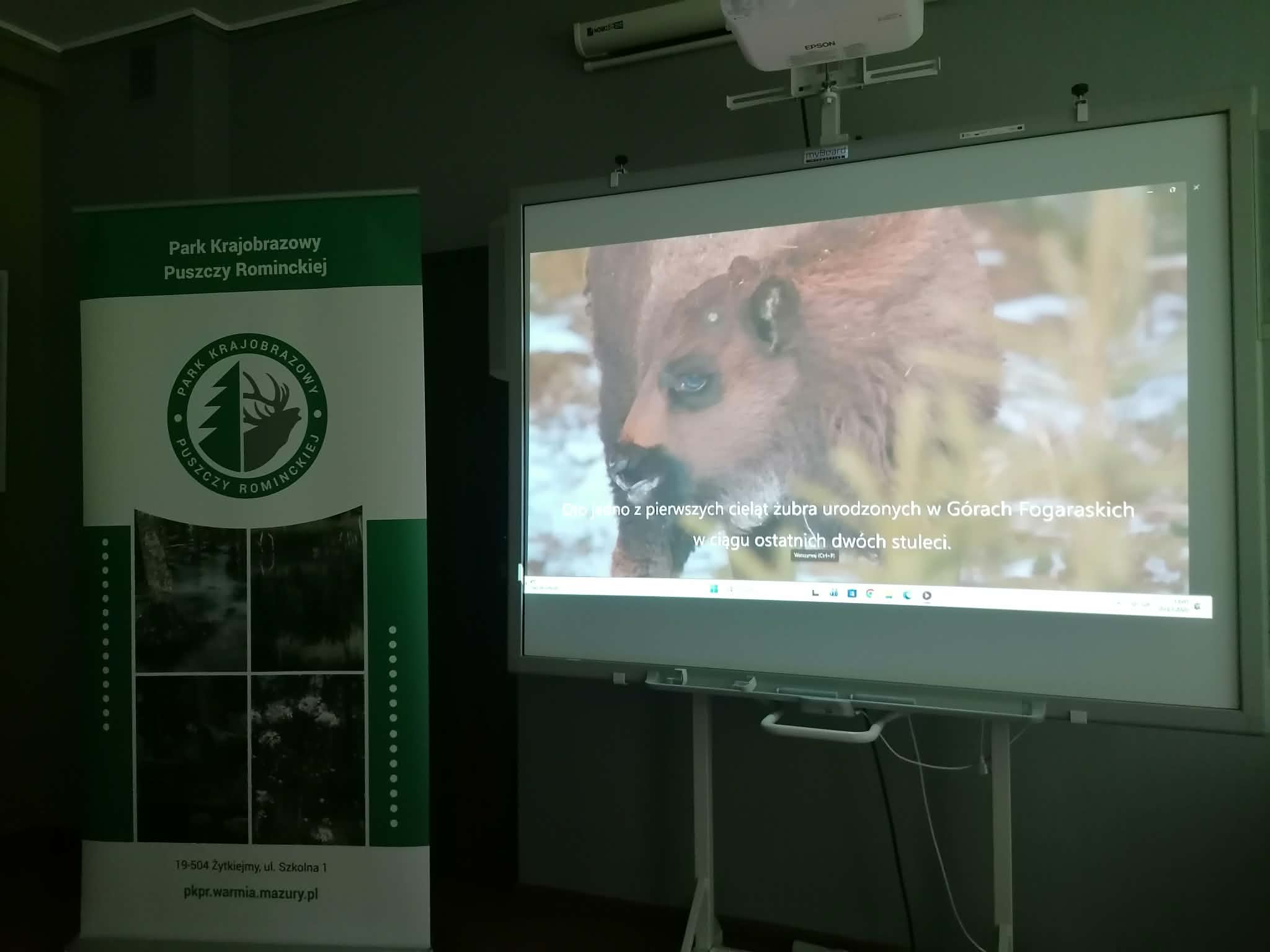 Dzień Dzikiej Przyrody na filmowo